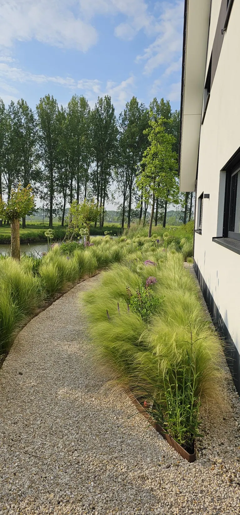 Een smal grindpad tussen een woning en golvende siergrassen.