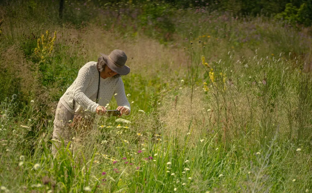Noortje knielt tussen hoge grassen en wilde bloemen.