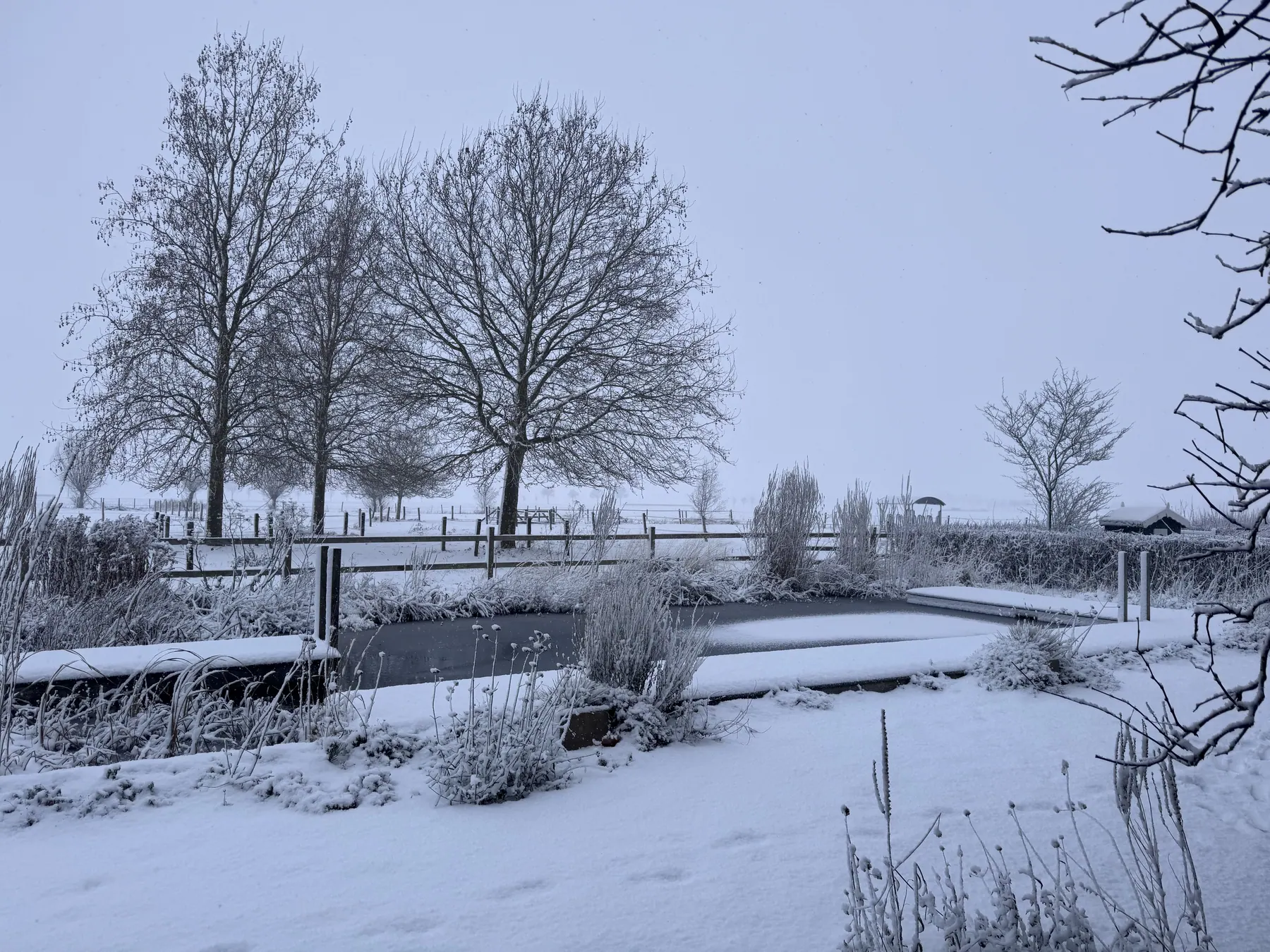 Een besneeuwde vijver, vlonder en bladloze bomen in een wintertuin.